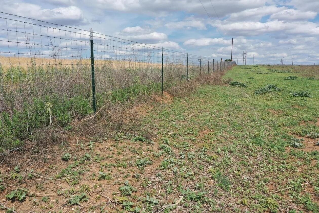 183.18 acres in Wheeler County - photo 53