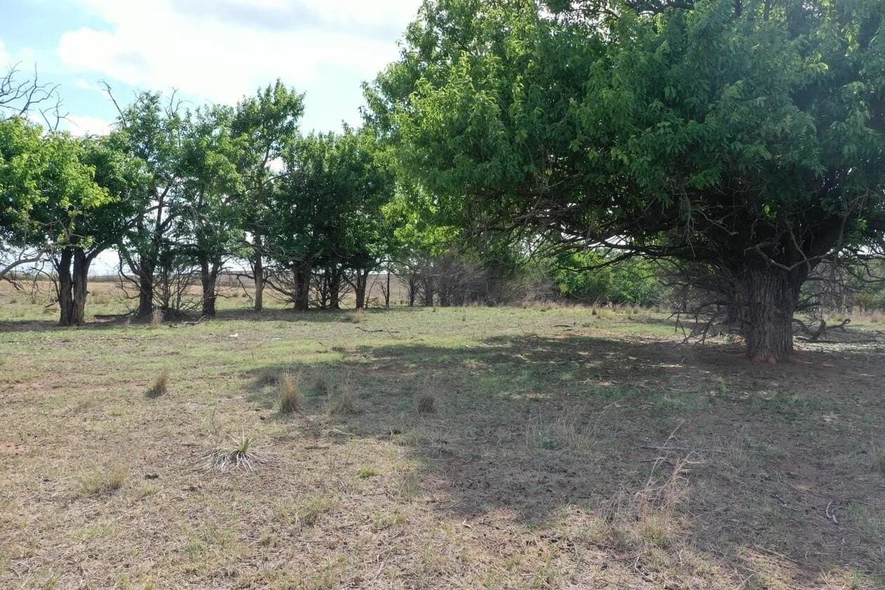 183.18 acres in Wheeler County - photo 65