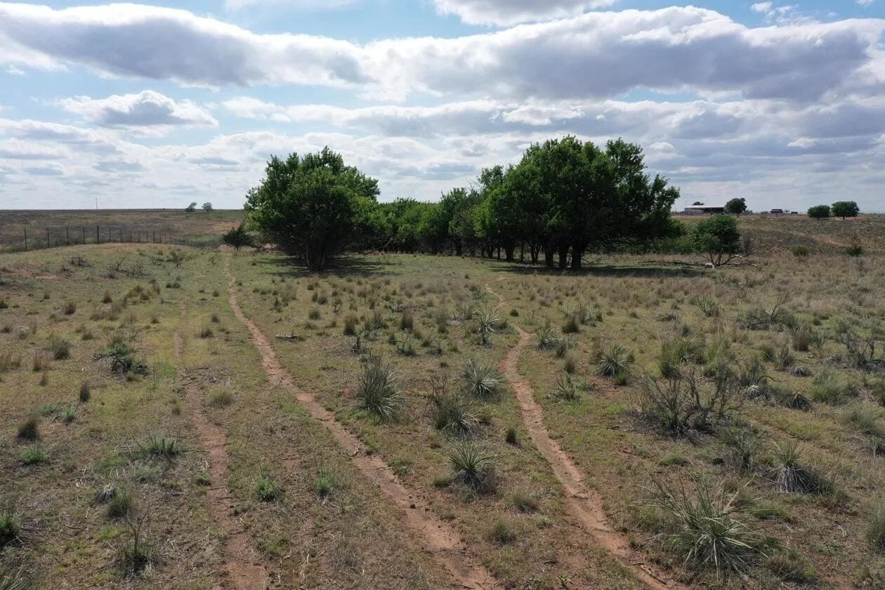 183.18 acres in Wheeler County - photo 62