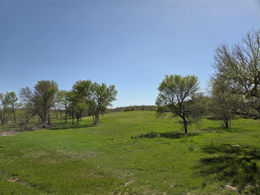 3.77 acres in Navarro County gallery image 4