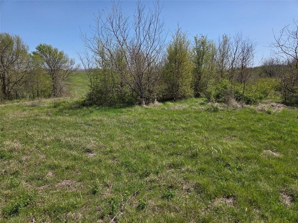 3.77 acres in Navarro County gallery image 3
