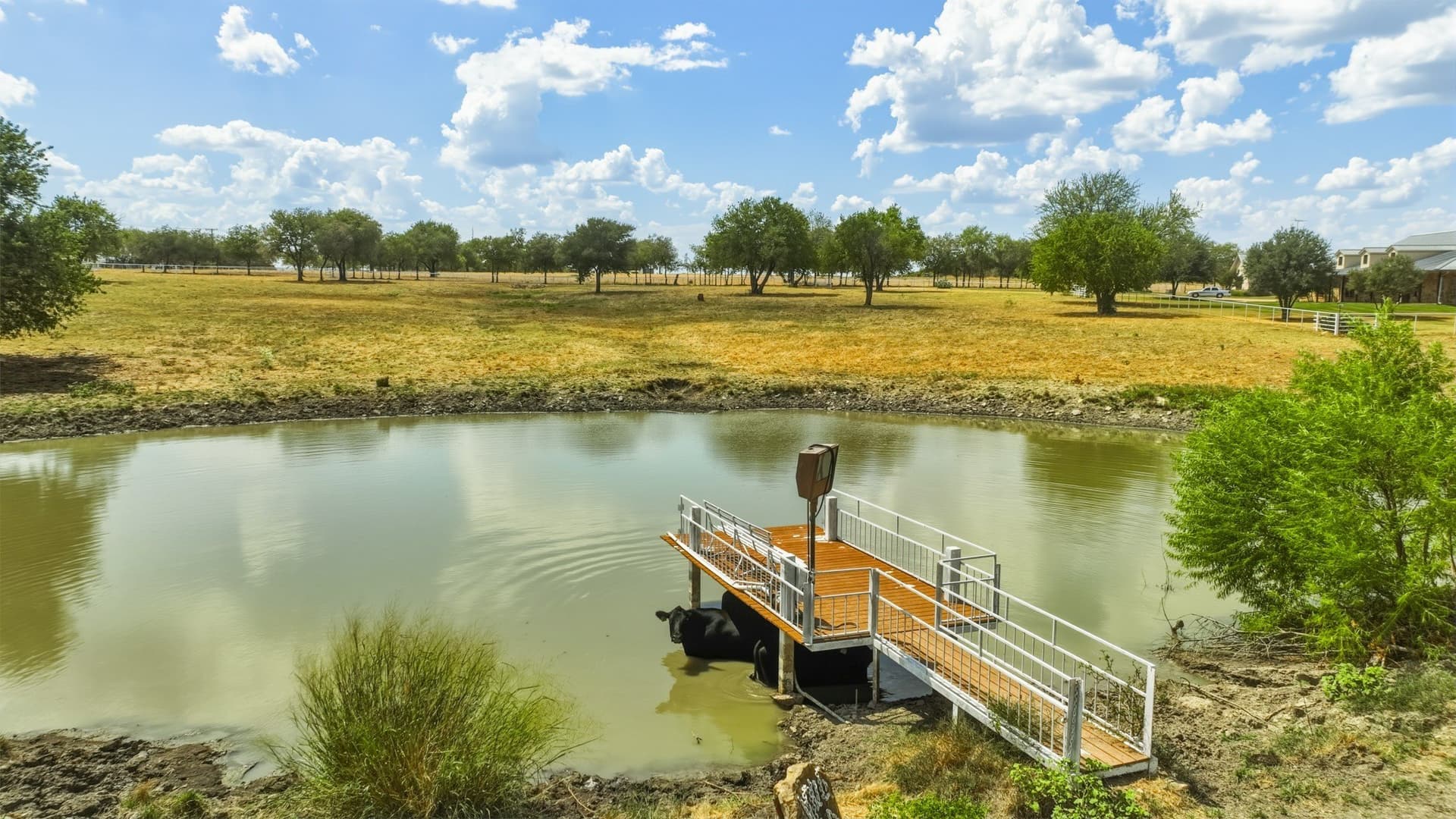 19.74 acres in Denton County - photo 2