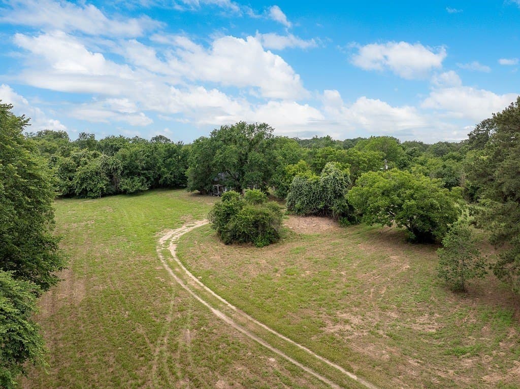 71 acres in Austin County gallery image 3