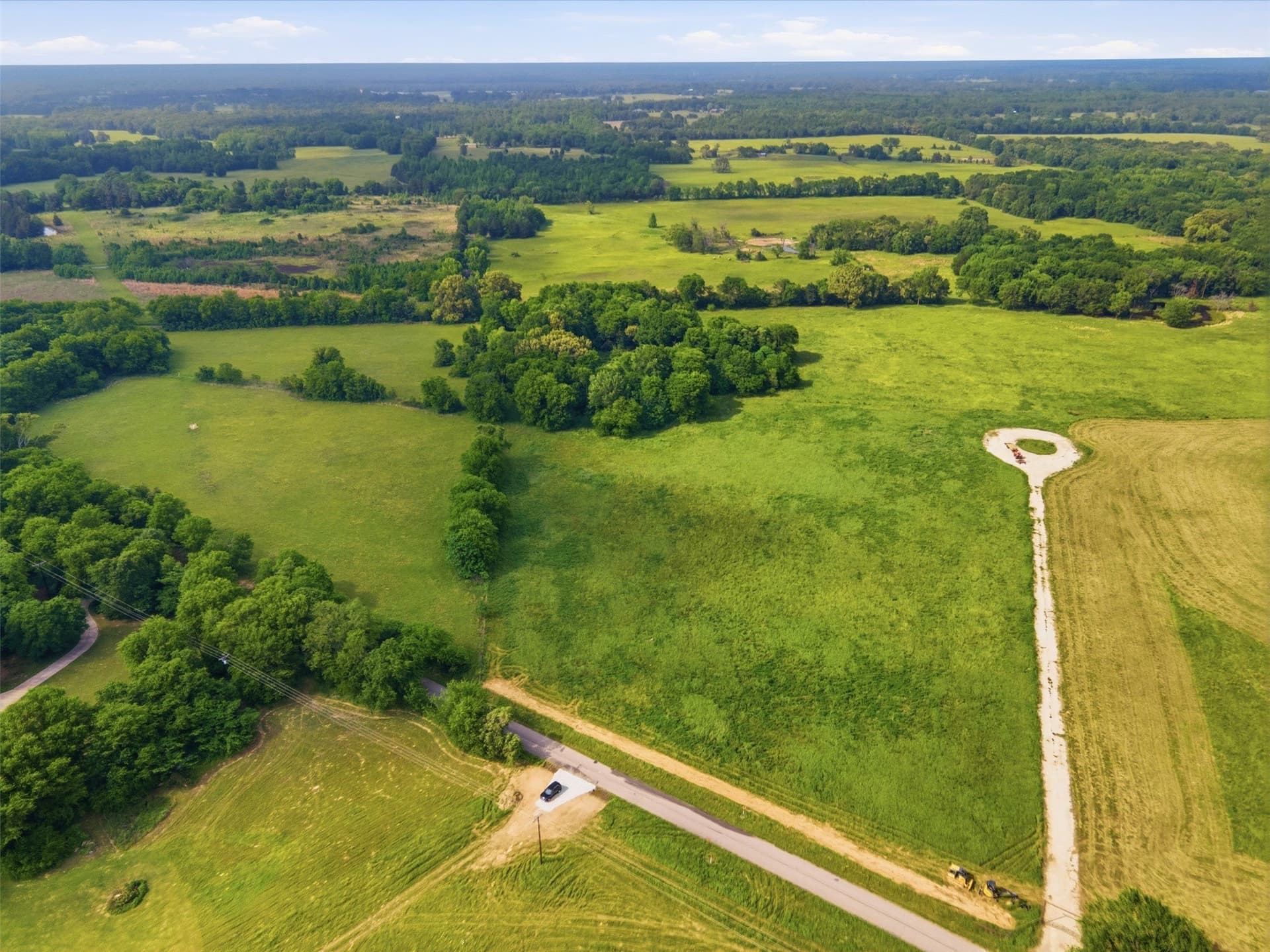 8.75 acres in Titus County gallery image 3