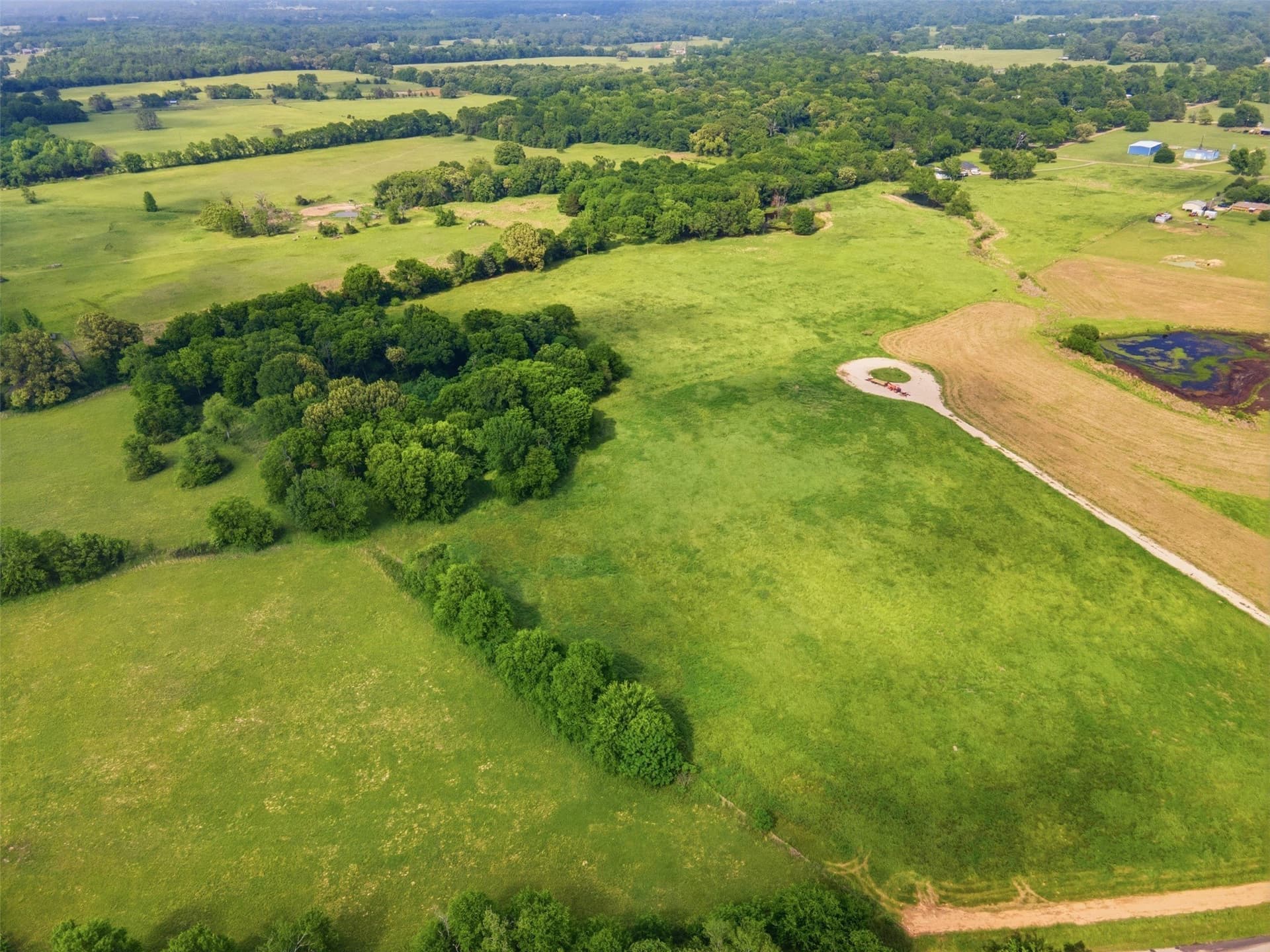 8.75 acres in Titus County gallery image 4