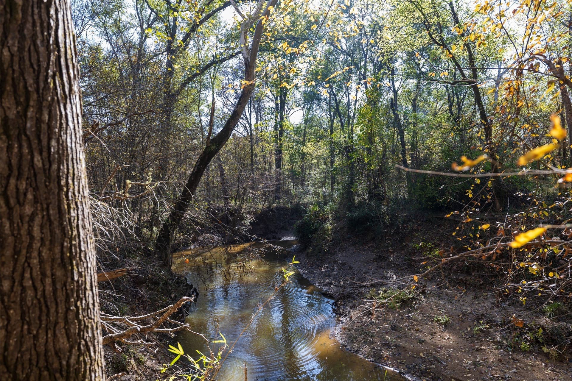 51.5 acres in Houston County - photo 2