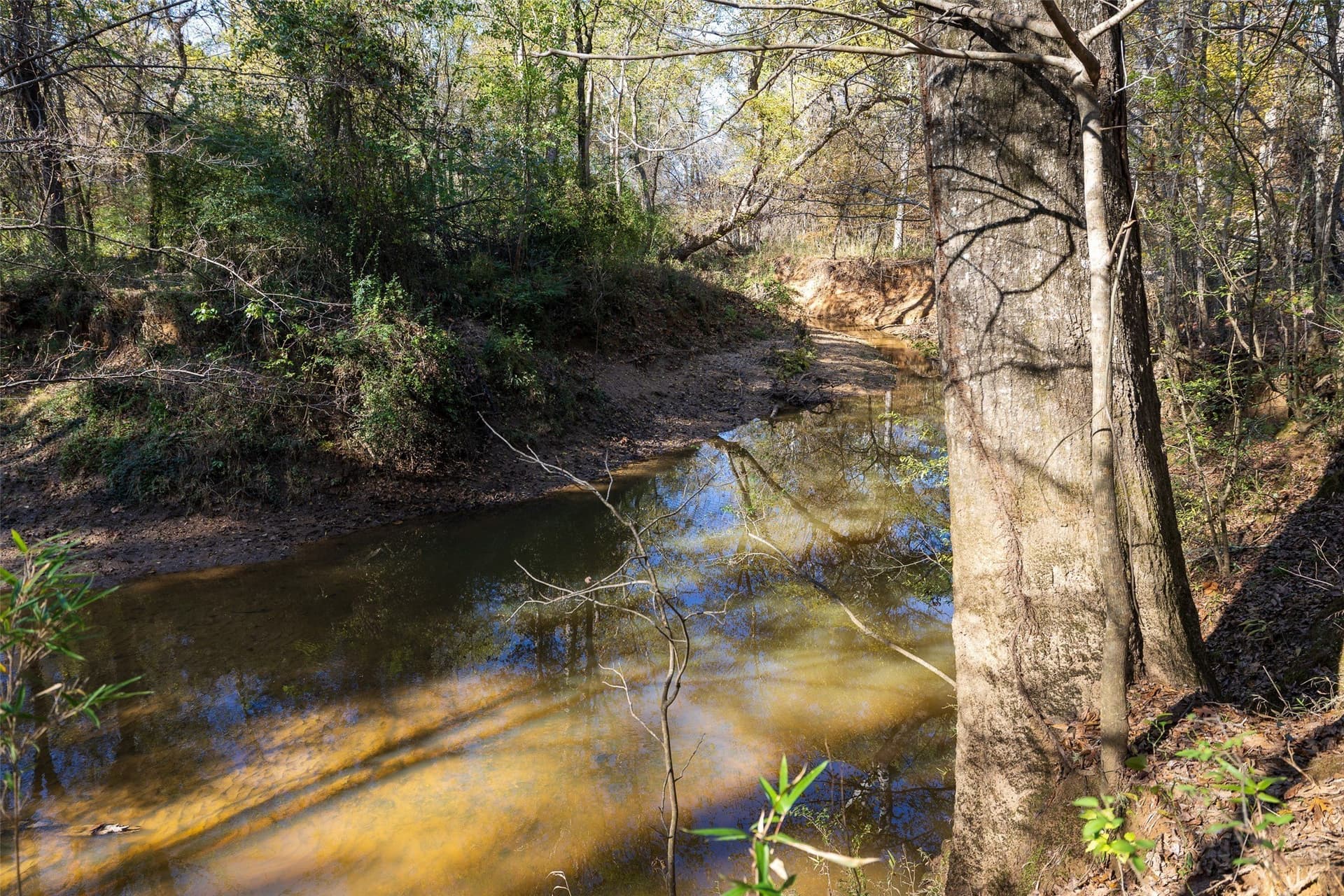 51.5 acres in Houston County - photo 4