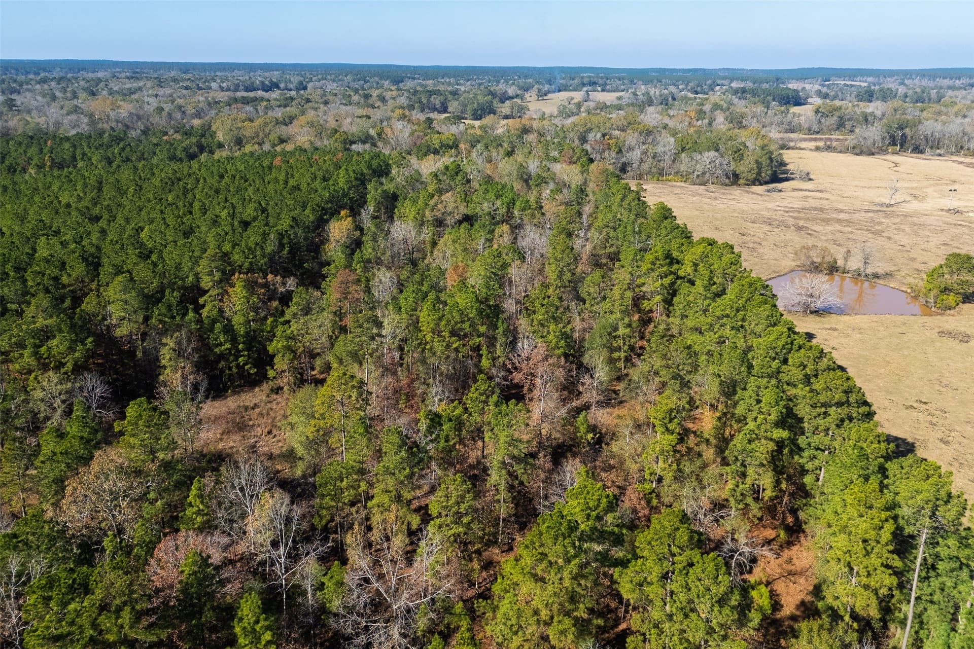 51.5 acres in Houston County - photo 18