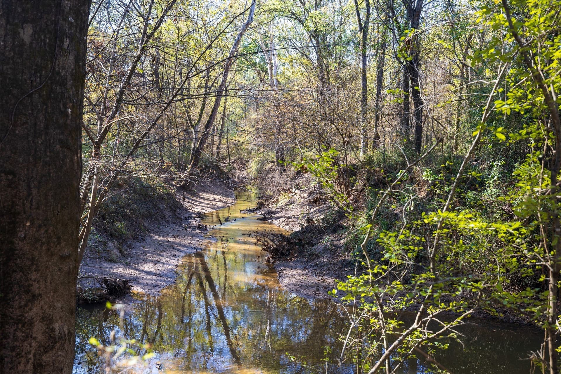 51.5 acres in Houston County - photo 17
