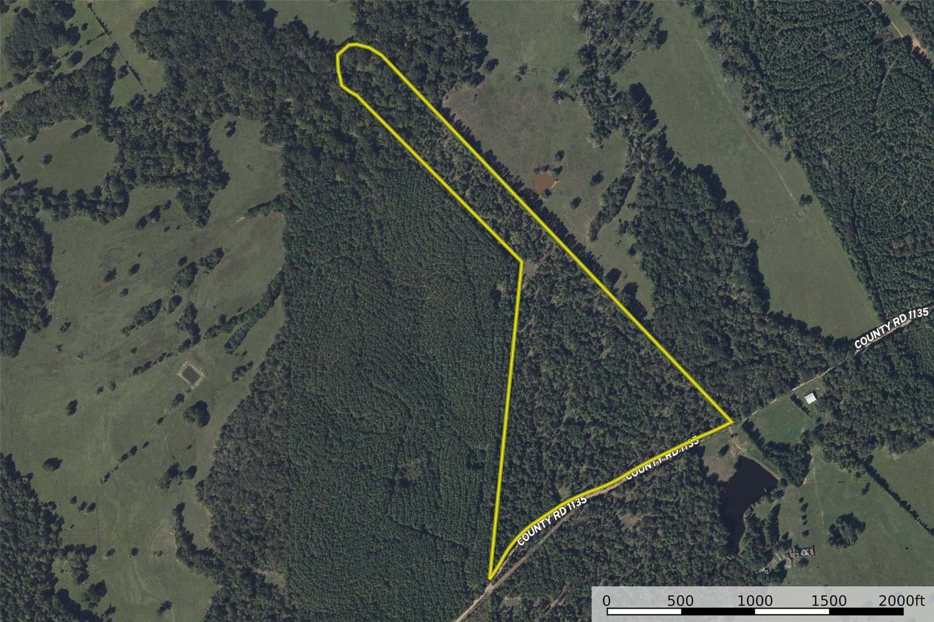 51.5 acres in Houston County - photo 27