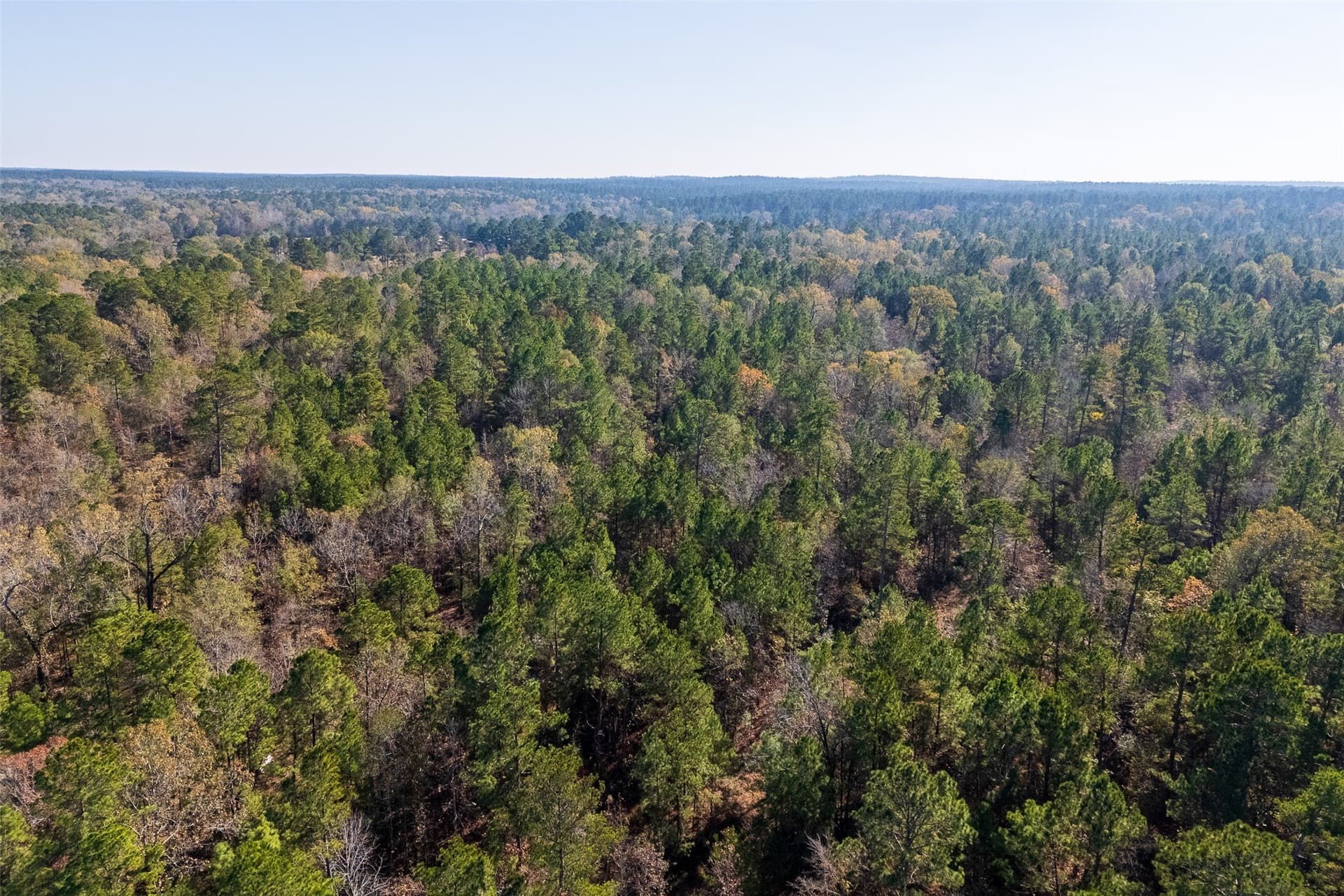 51.5 acres in Houston County - photo 21
