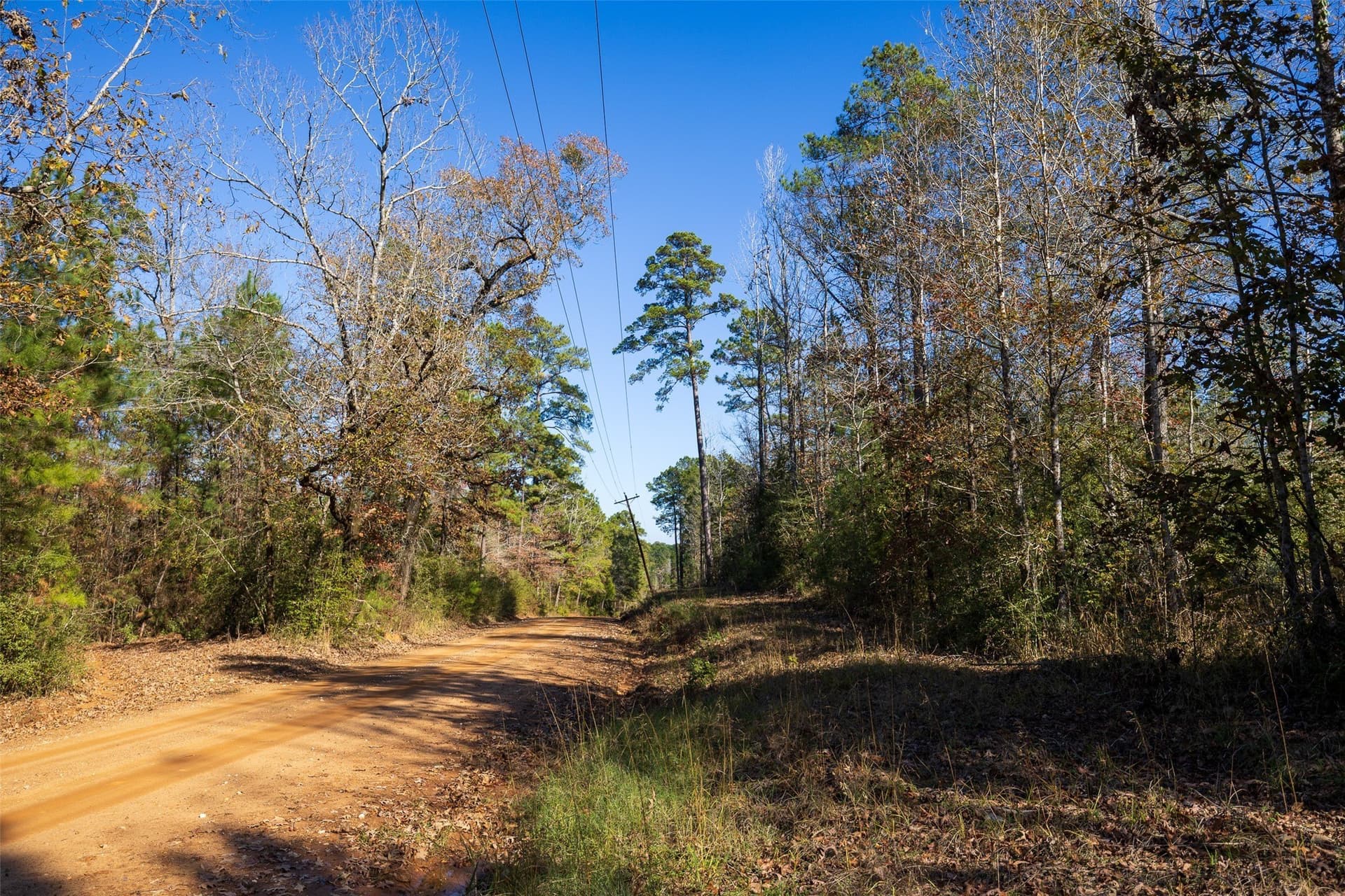 51.5 acres in Houston County - photo 13
