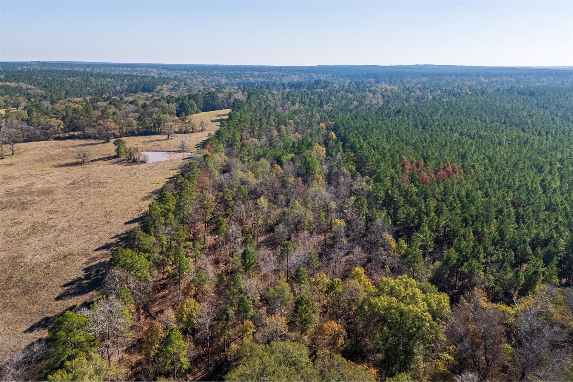 51.5 acres in Houston County - photo 25