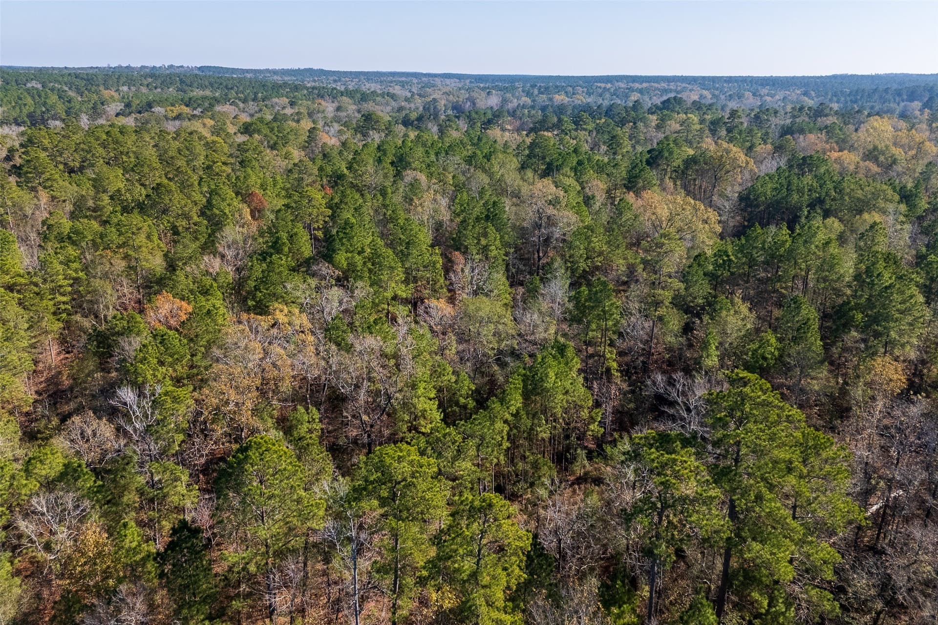 51.5 acres in Houston County - photo 22