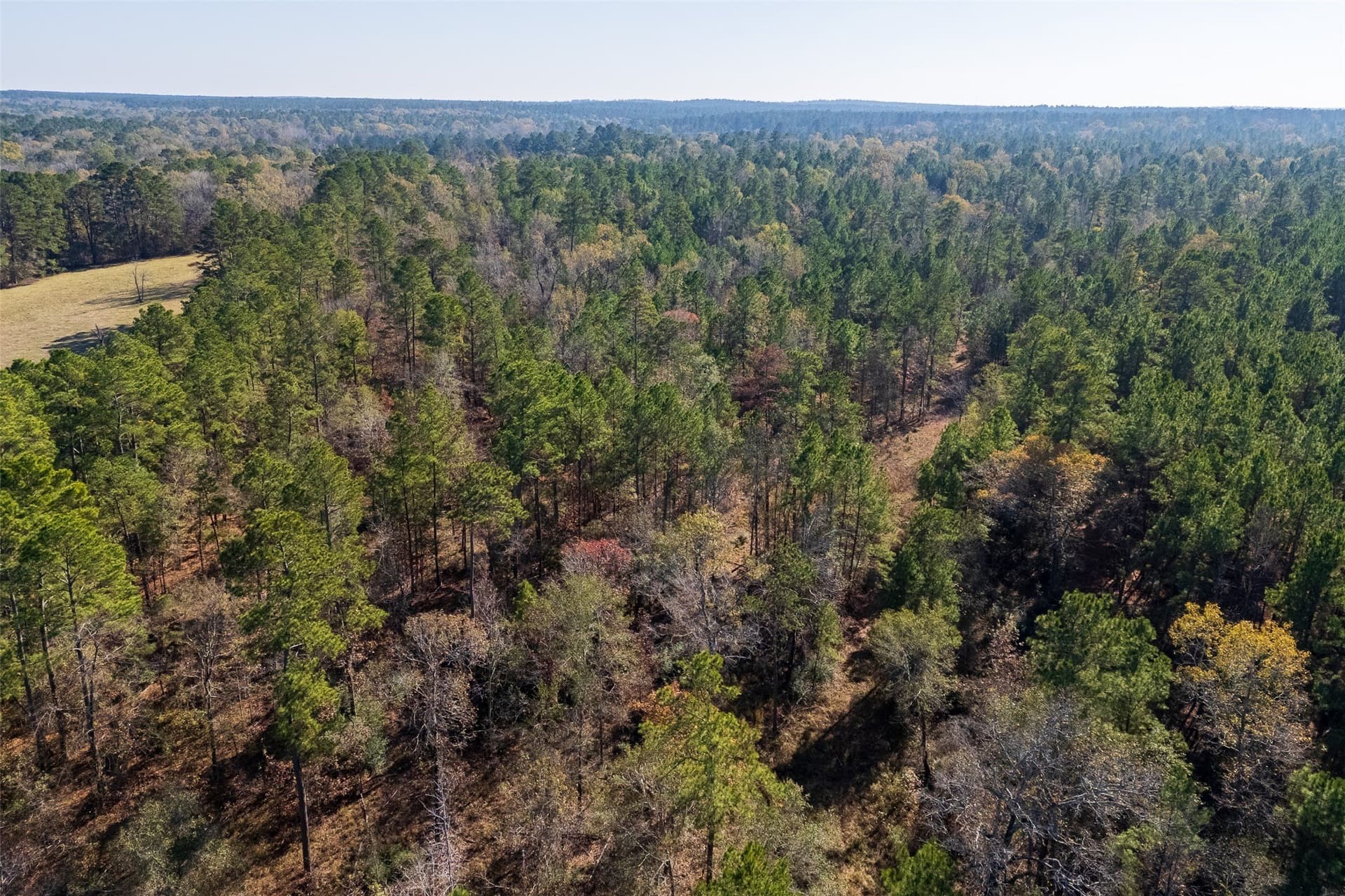 51.5 acres in Houston County - photo 20