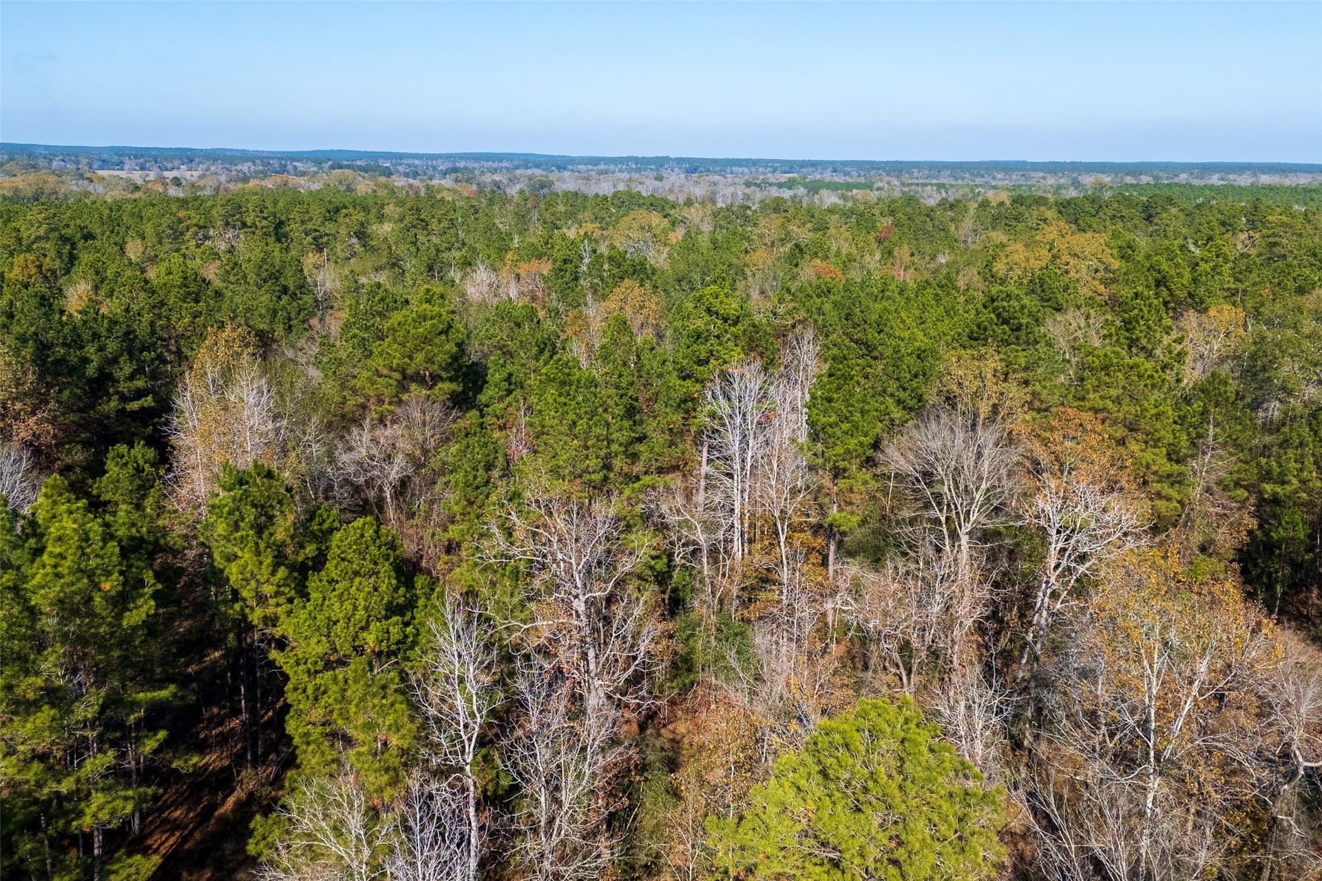 51.5 acres in Houston County