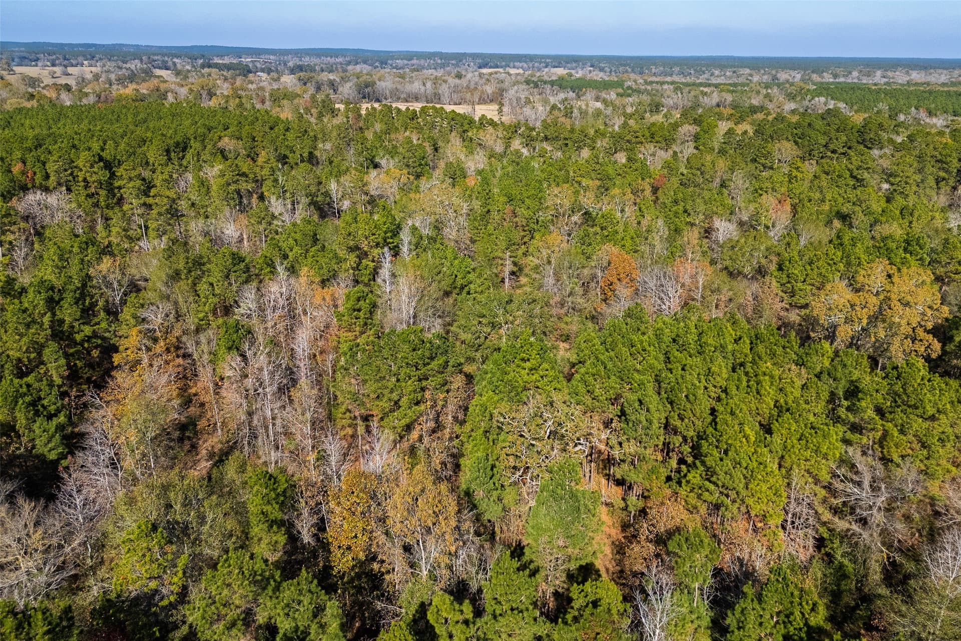 51.5 acres in Houston County - photo 26