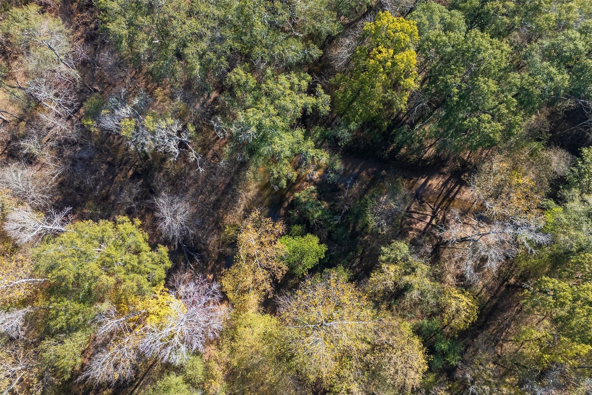 51.5 acres in Houston County - photo 19