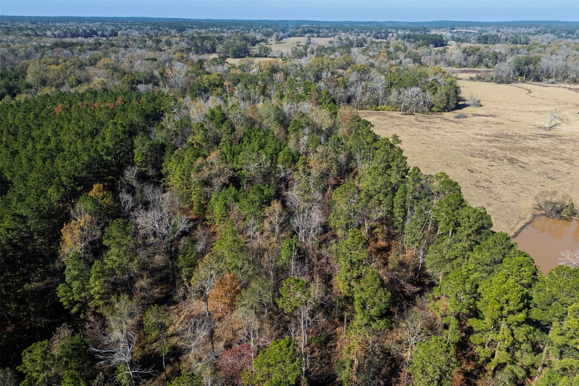 51.5 acres in Houston County - photo 23