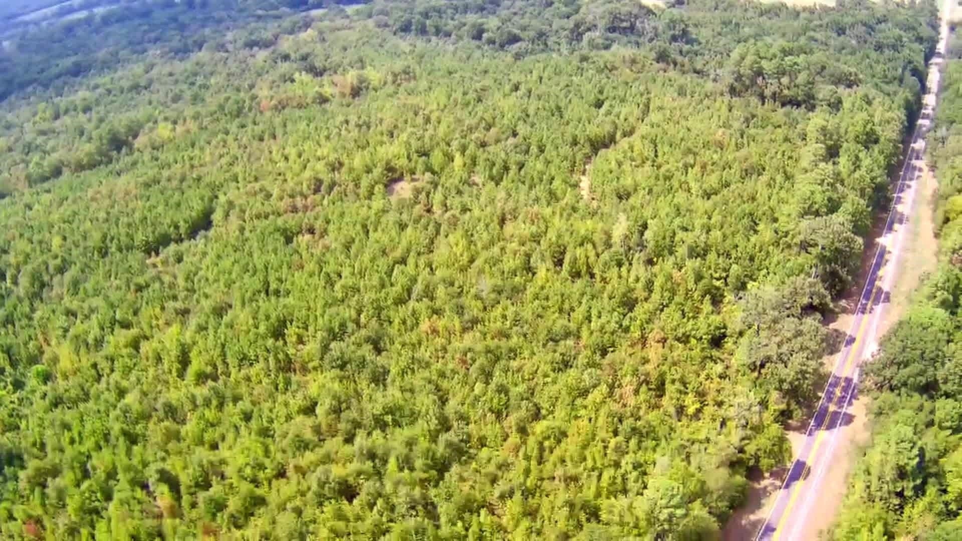 49.11 acres in Texas County - photo 5