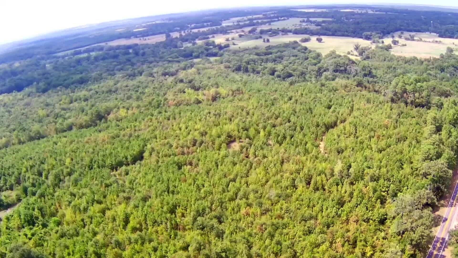 49.11 acres in Texas County