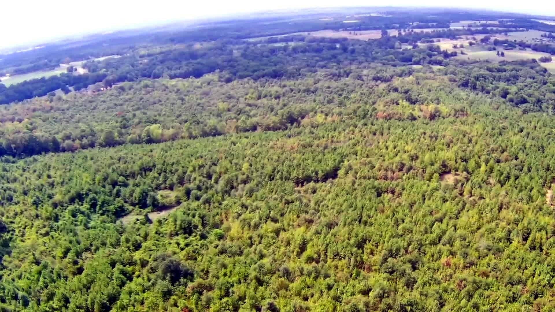 49.11 acres in Texas County - photo 3
