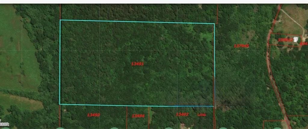 35 acres in Wood County