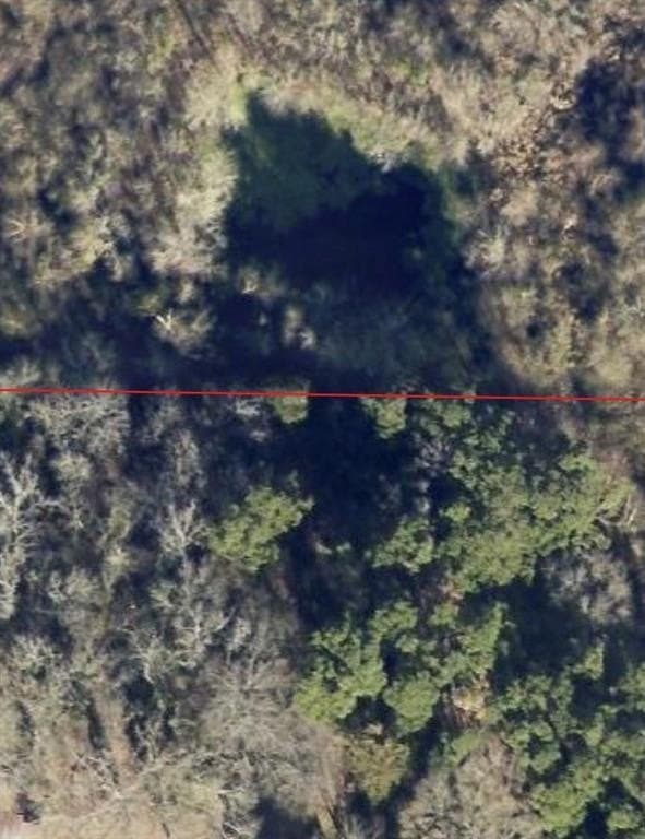 35 acres in Wood County featured view