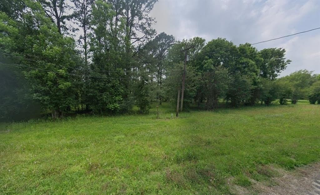 1 acres in Liberty County gallery image 2