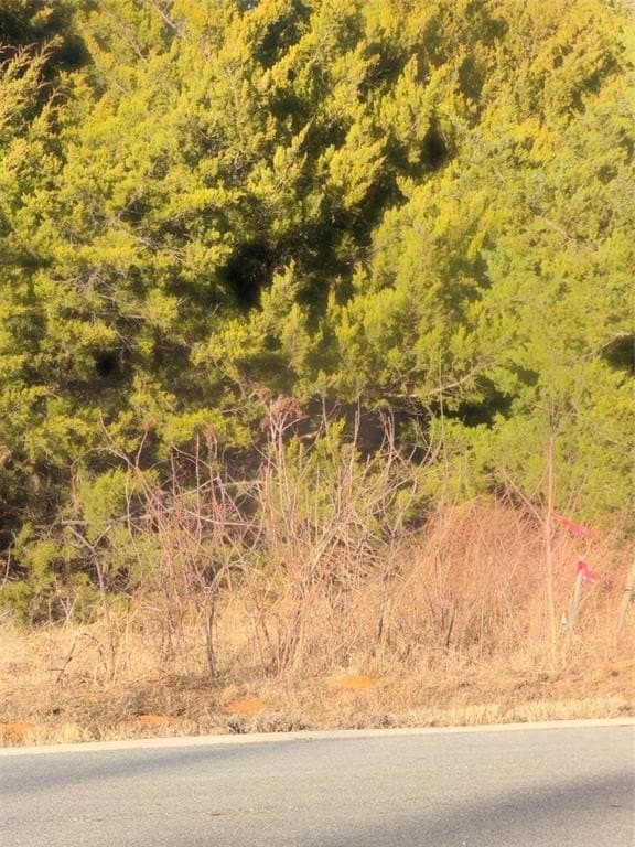 0.25 acres in Grayson County gallery image 4