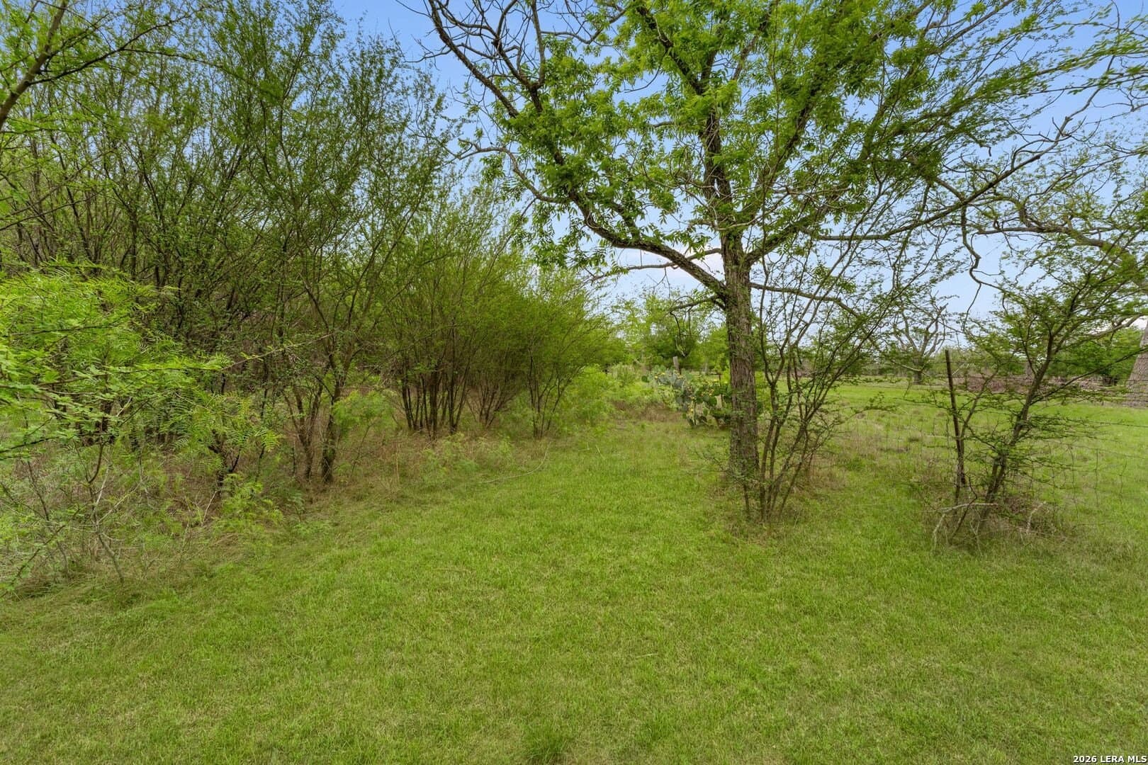6.08 acres in Medina County - photo 21
