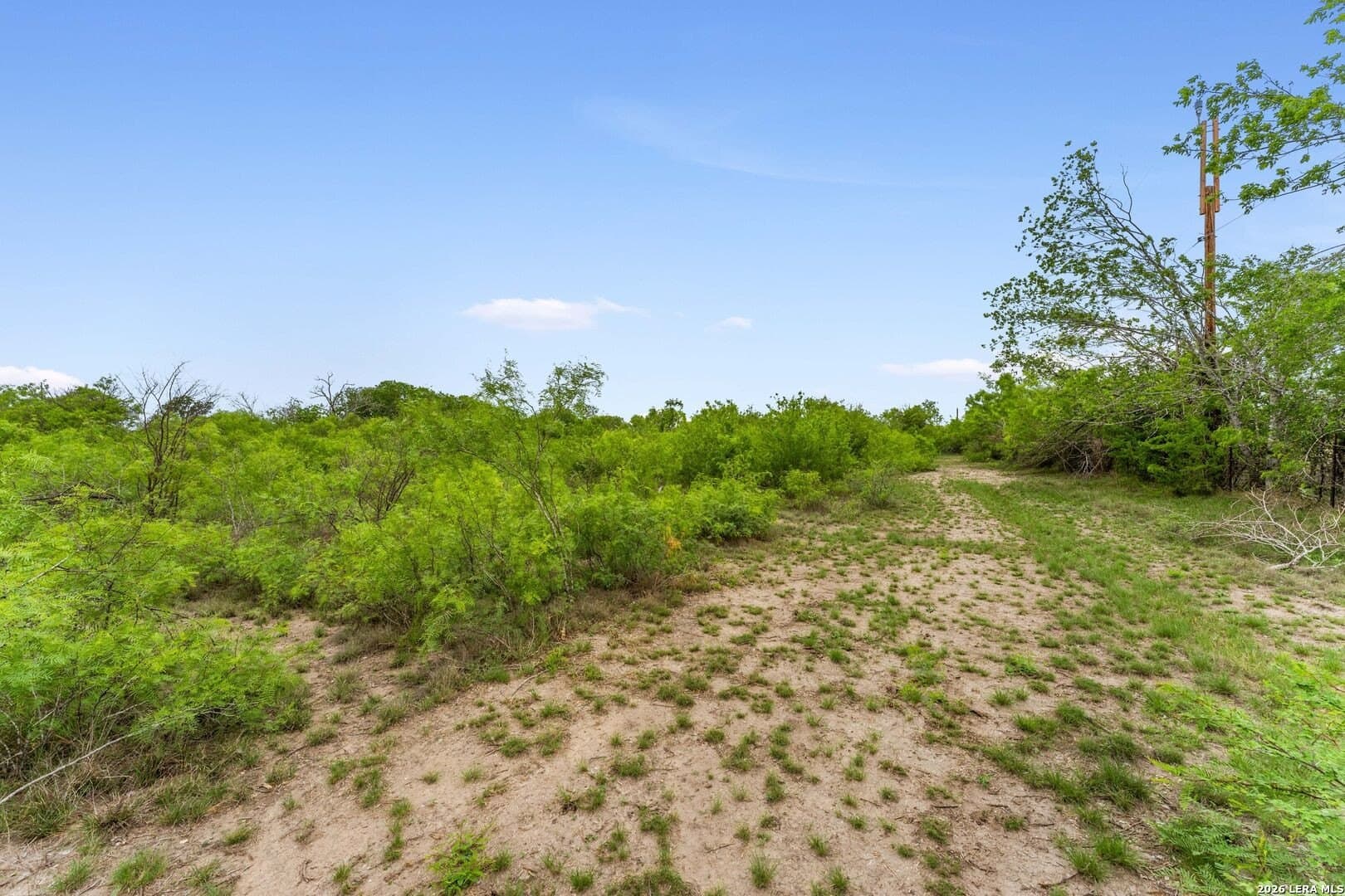 6.08 acres in Medina County - photo 14