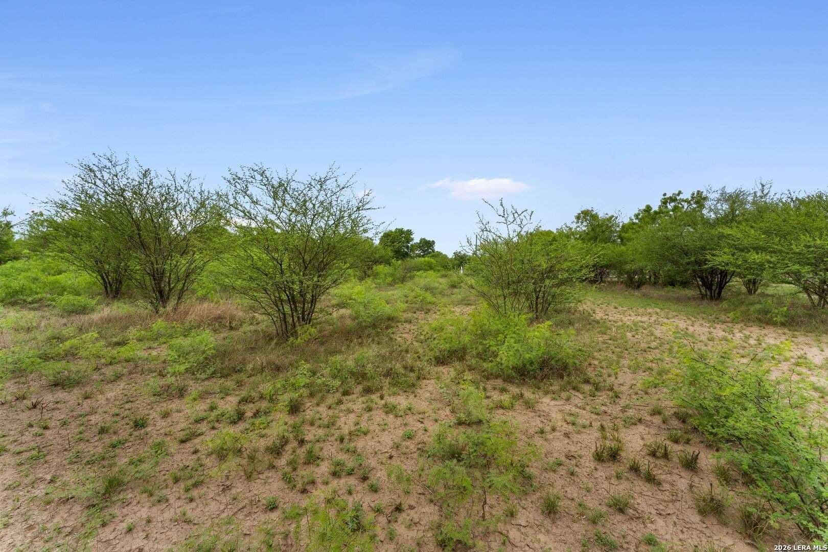 6.08 acres in Medina County - photo 19
