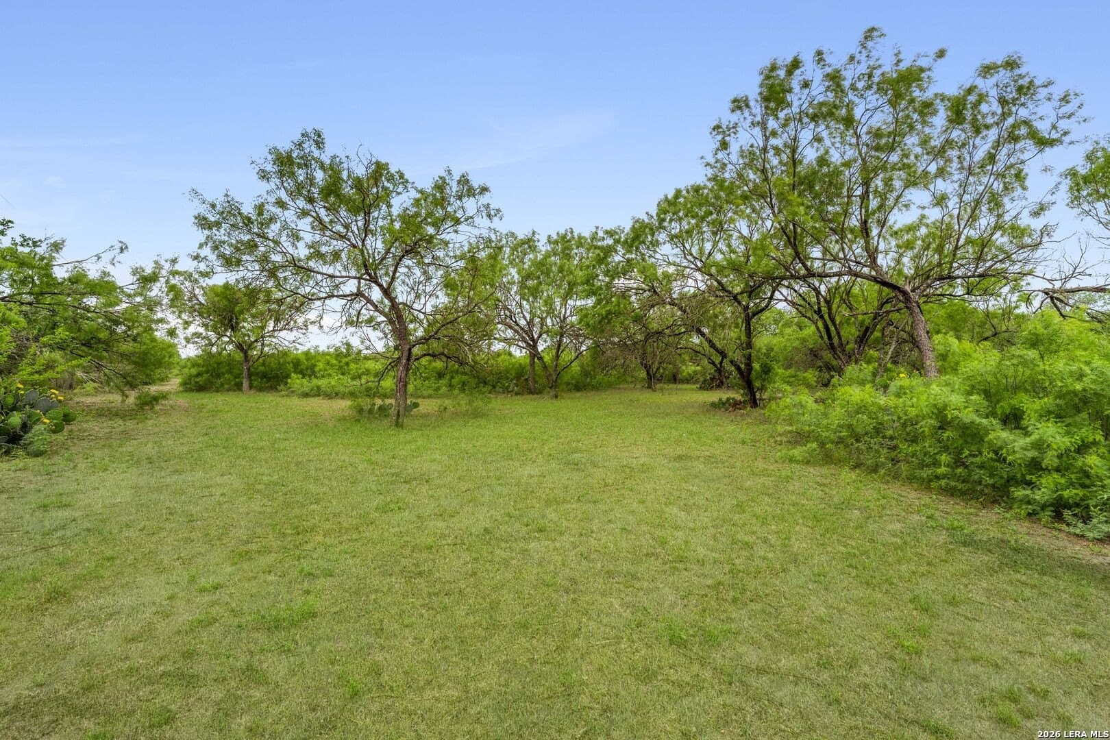 6.08 acres in Medina County - photo 25