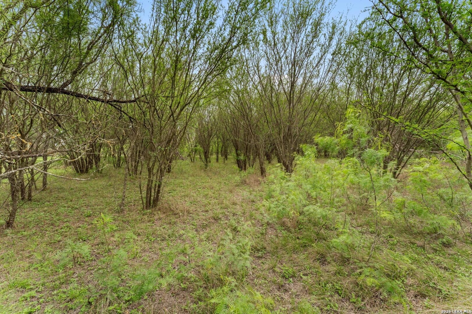 6.08 acres in Medina County - photo 20