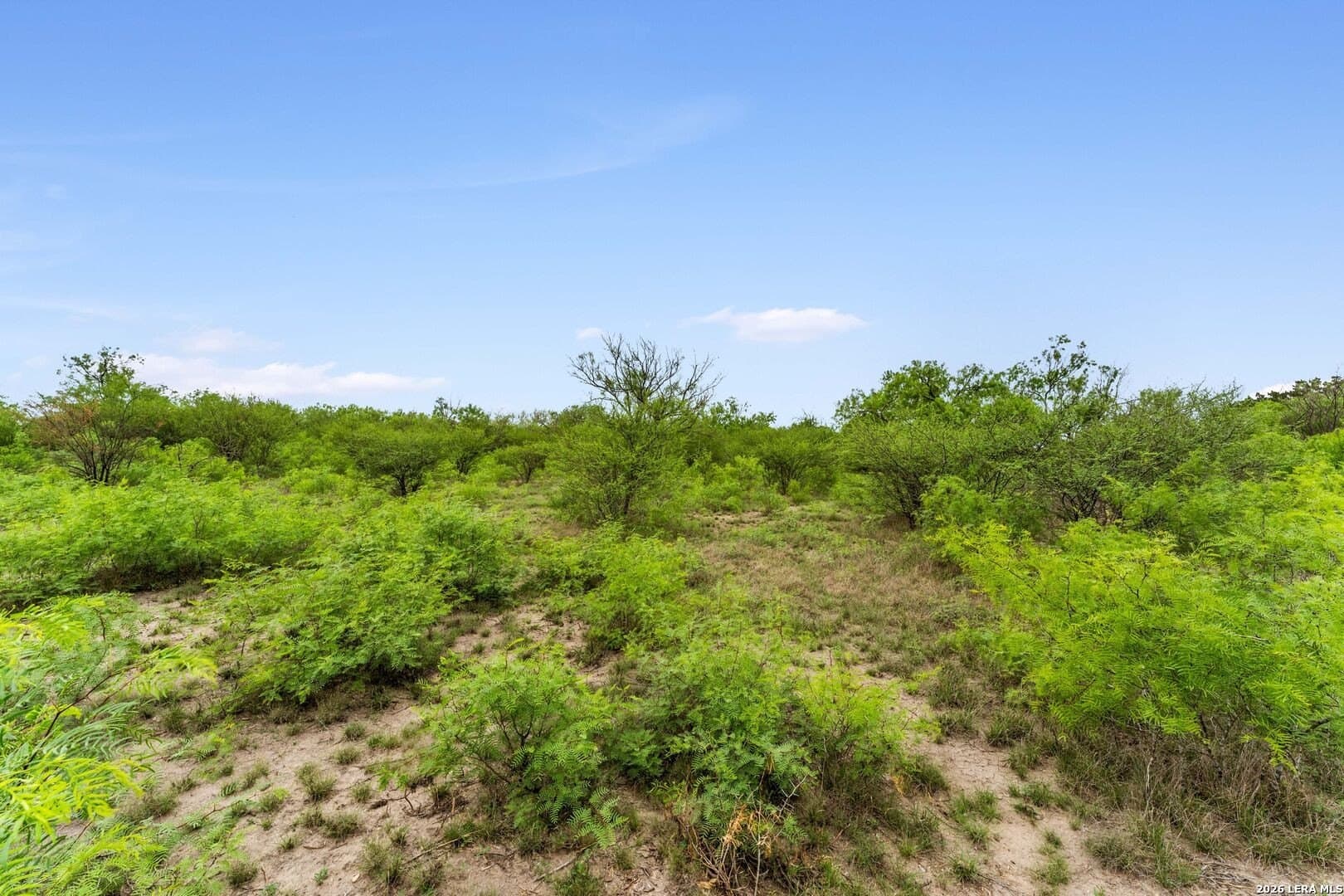 6.08 acres in Medina County - photo 23