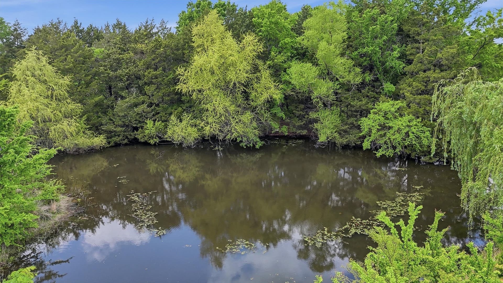 5 acres in Grayson County - photo 9
