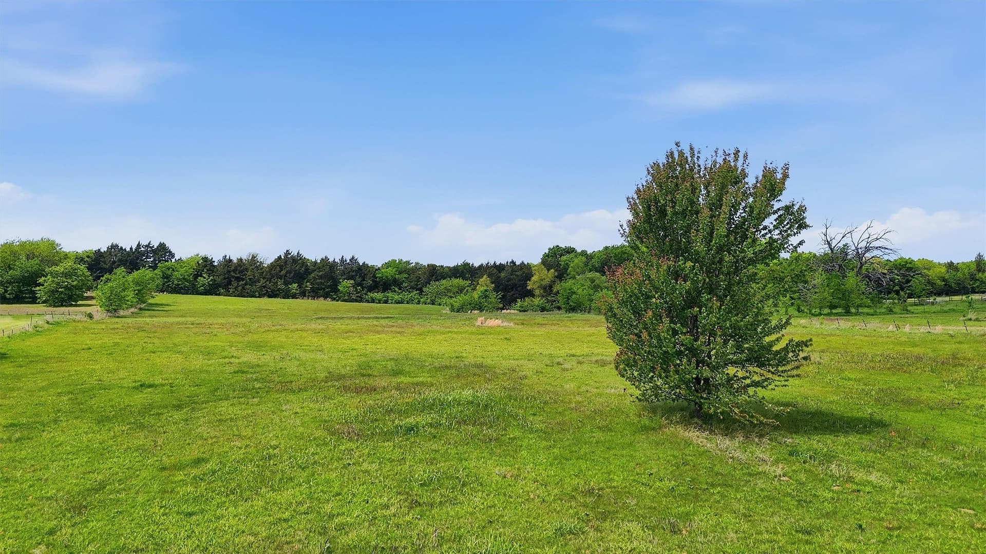 5 acres in Grayson County - photo 17