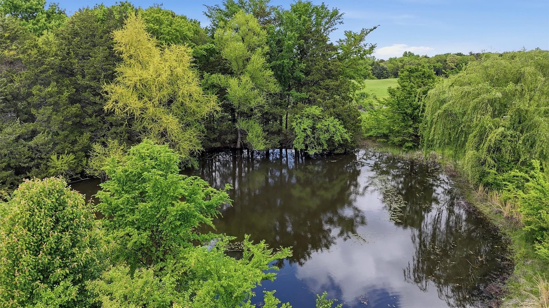 5 acres in Grayson County - photo 10