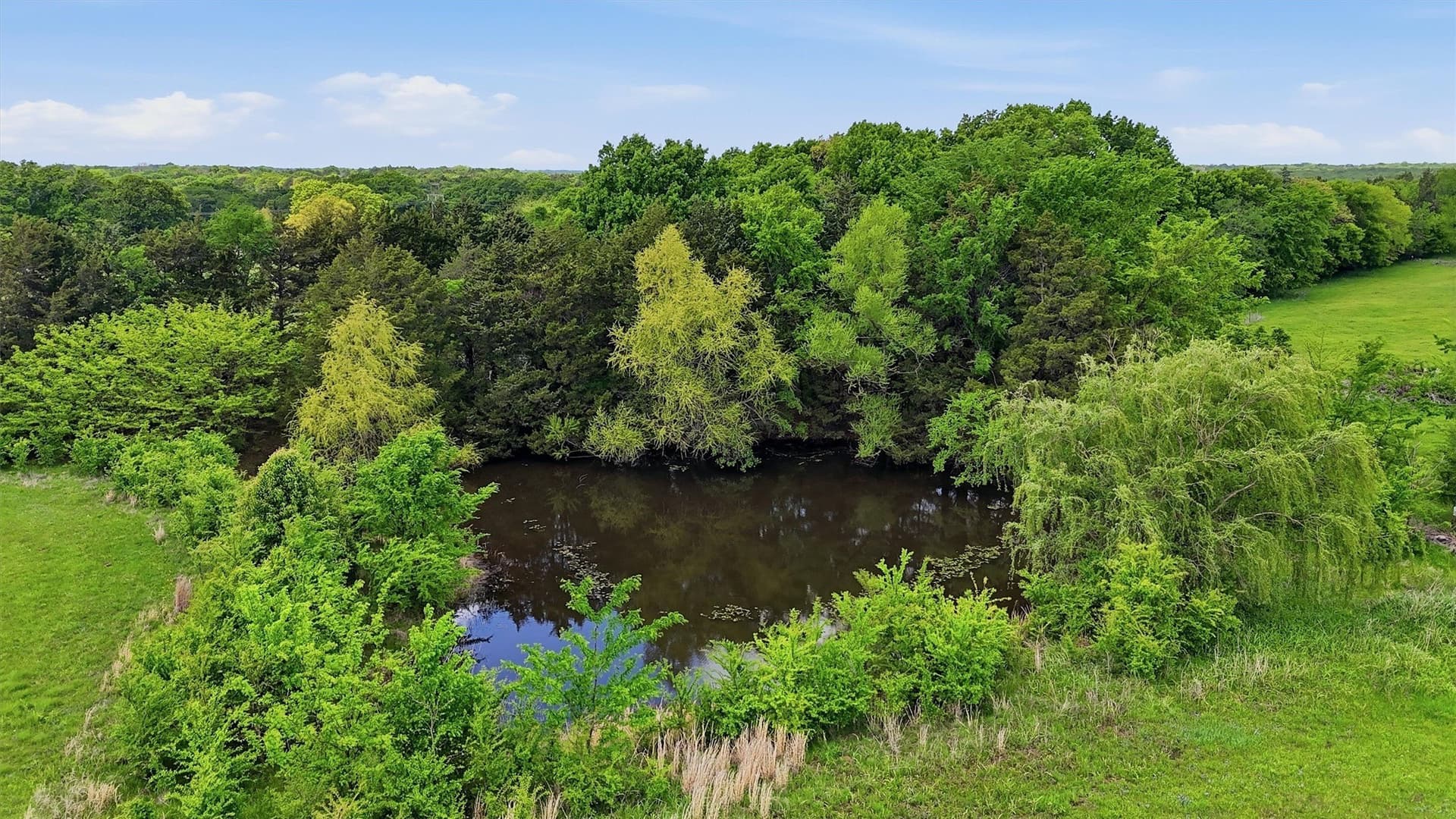 5 acres in Grayson County - photo 8