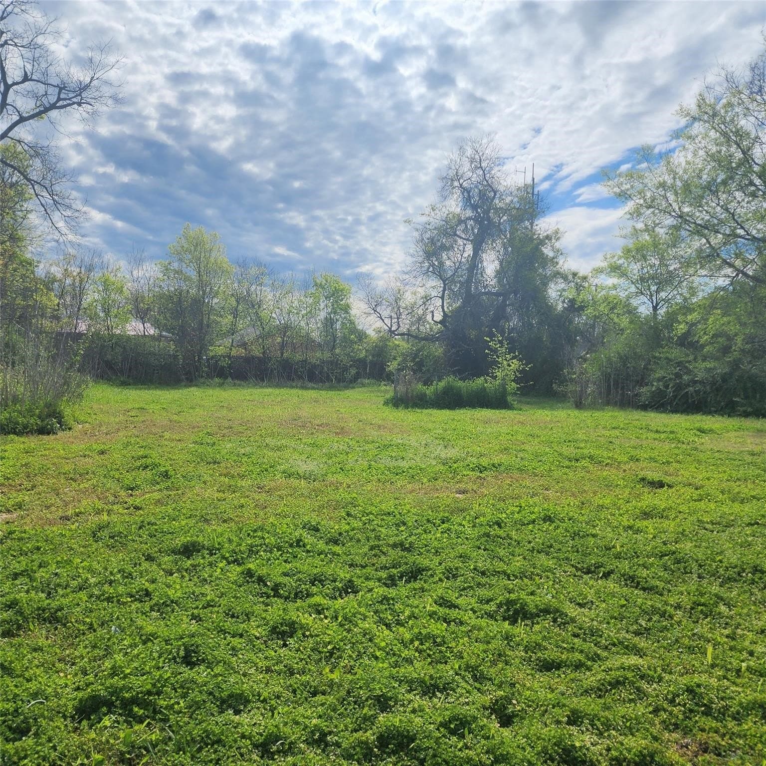 0.21 acres in Hunt County gallery image 3
