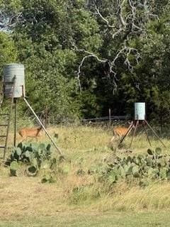 7.72 acres in Gillespie County - photo 34