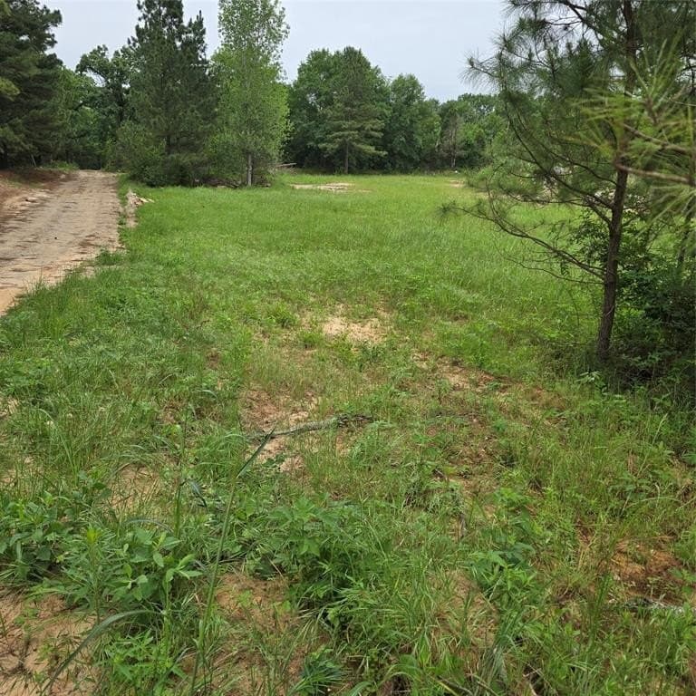 19.93 acres in Henderson County featured view