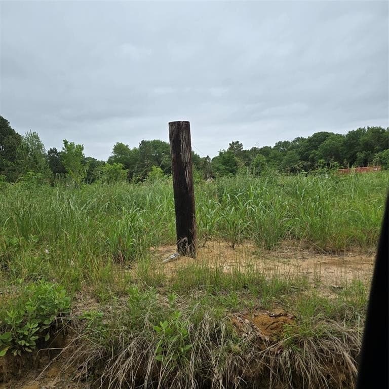 19.93 acres in Henderson County gallery image 2
