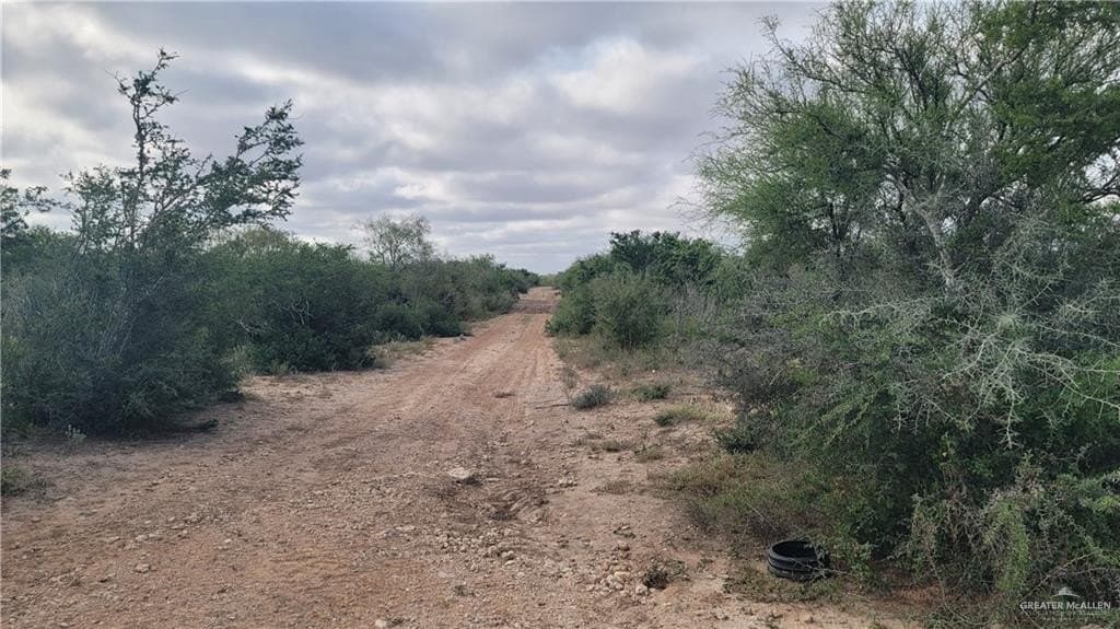 396.35 acres in Starr County - photo 21
