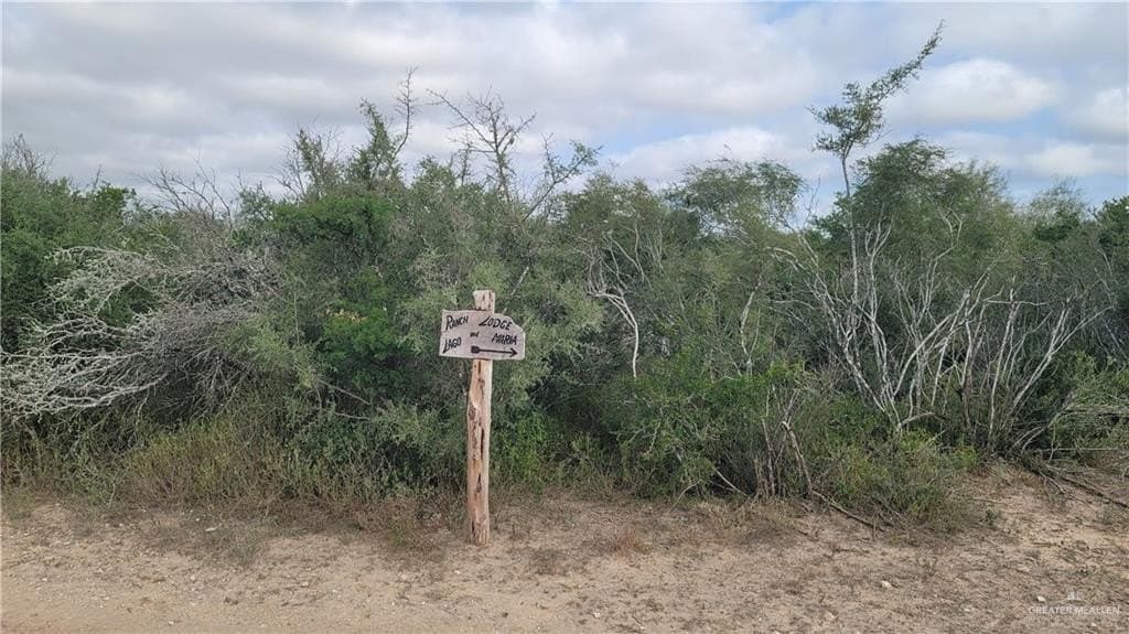 396.35 acres in Starr County - photo 18