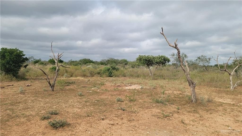 396.35 acres in Starr County - photo 23
