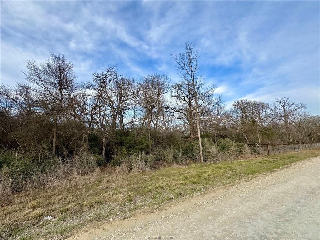 3.2 acres in Robertson County gallery image 3