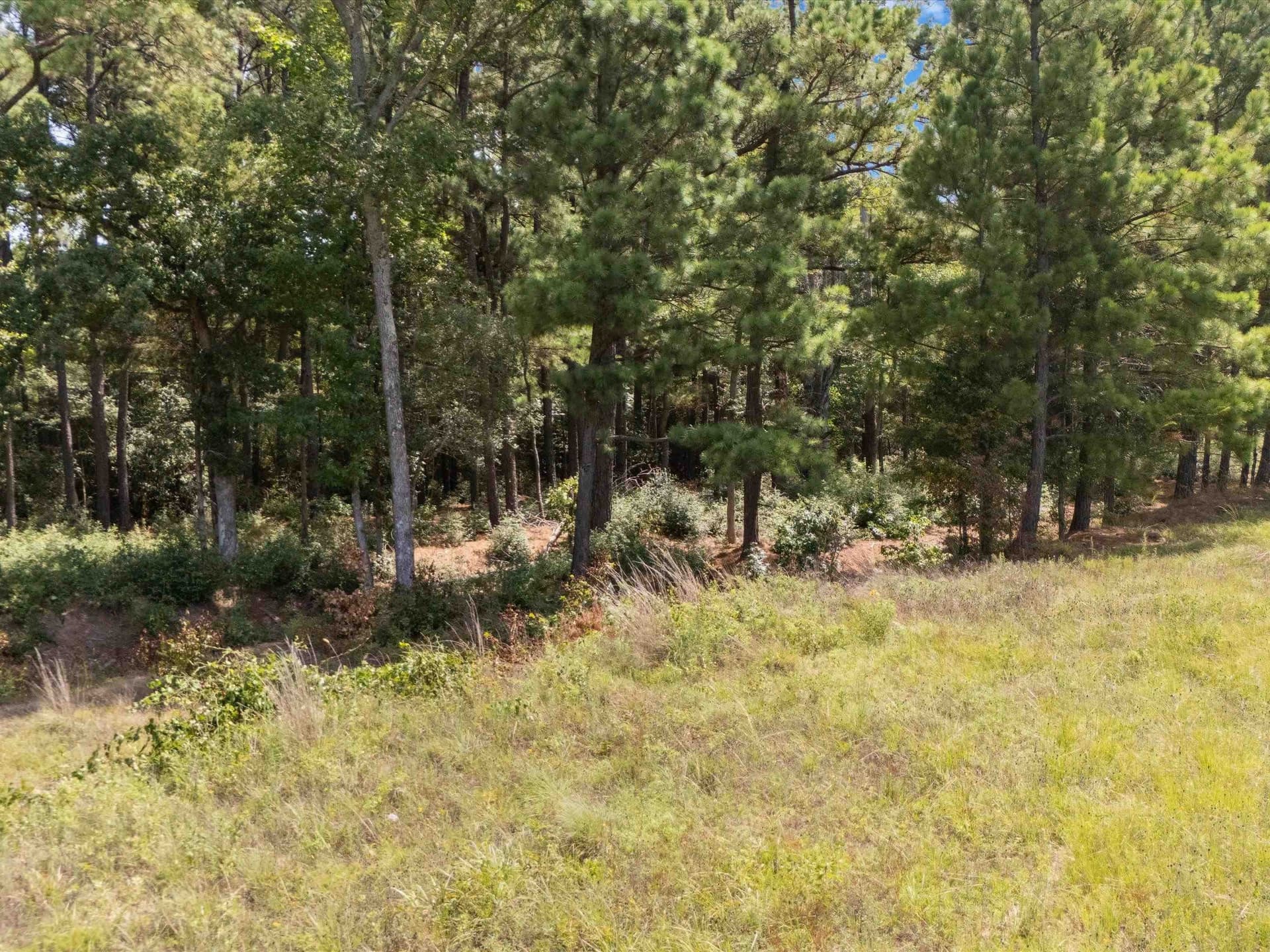 5.2 acres in Upshur County - photo 11