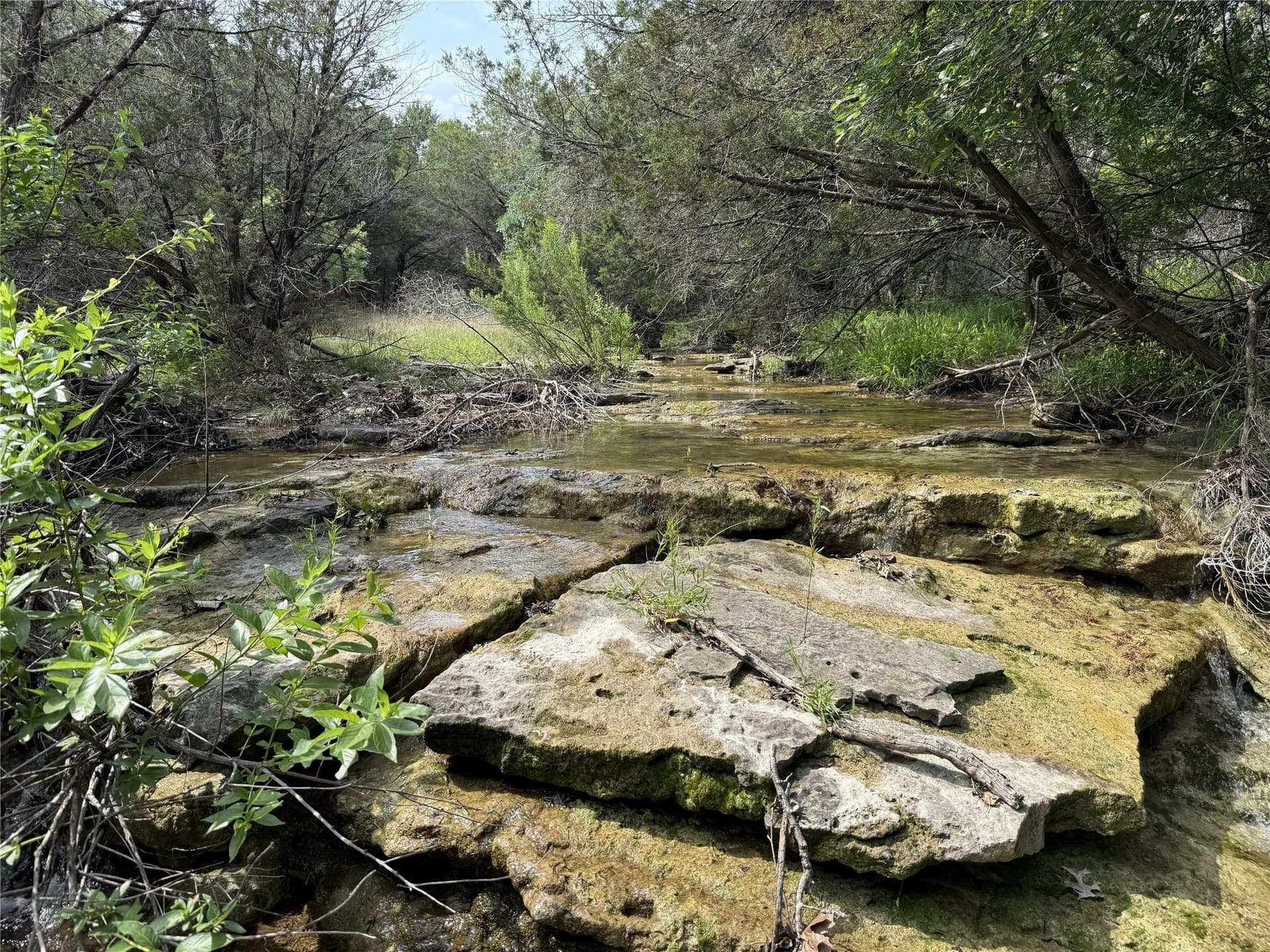 15 acres in Somervell County - photo 10